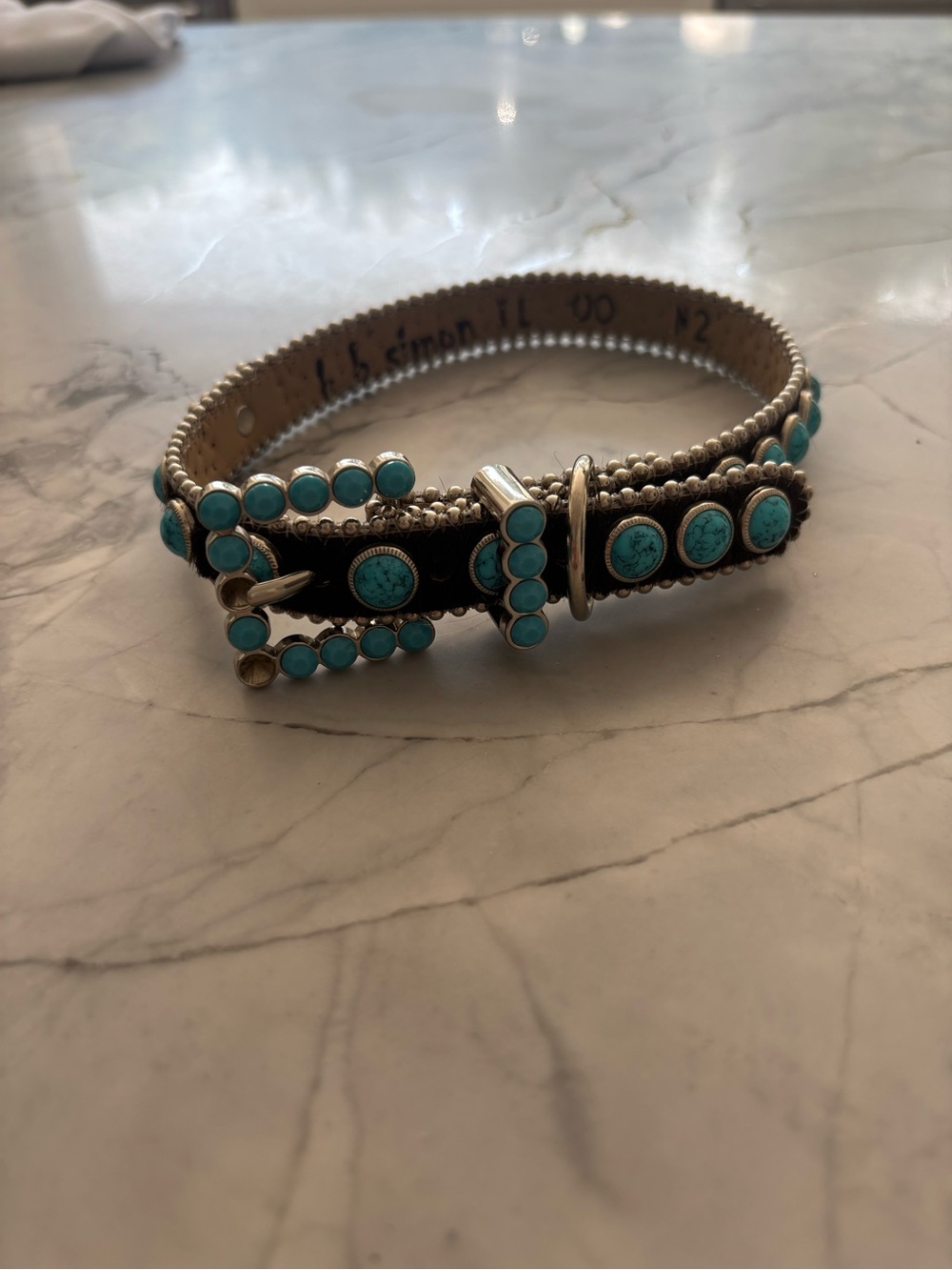 B.B. Simon Turquoise and Silver Leather Dog Collar